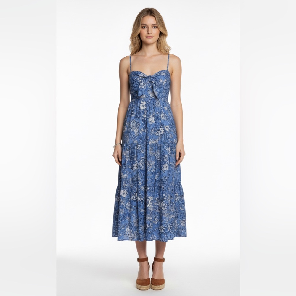 House of Harlow 1960 Blue Floral Maxi Dress